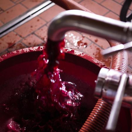 I Dolci Grappoli Βίλα Larino Εξωτερικό φωτογραφία